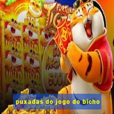 puxadas do jogo do bicho